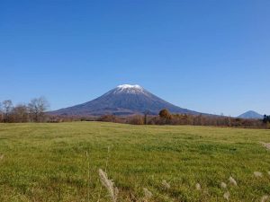 観光客に日本の魅力を伝える