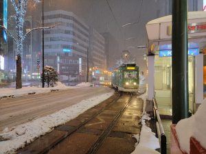 どんな猛吹雪でも安心