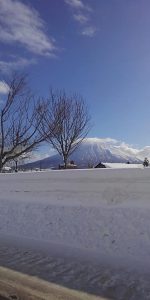 醸造は二世古酒造にお願いを