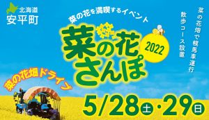 菜の花さんぽ22 菜の花畑で愛ましょう 安平町 39 北